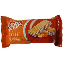 ویفر کرم دار  نارگیلی سلکت کوپا